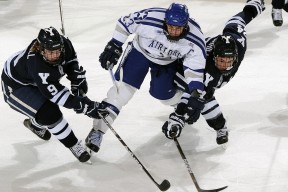 开云官网-巴塞罗那迎来“新血”，阵容年轻化，巴塞罗那新帅