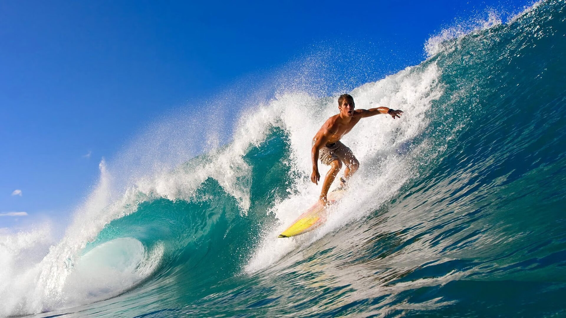 “青训产业化发展步伐加快,行业生态逐步优化”,青训概念